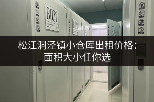 松江洞泾镇小仓库出租价格：面积大小任你选