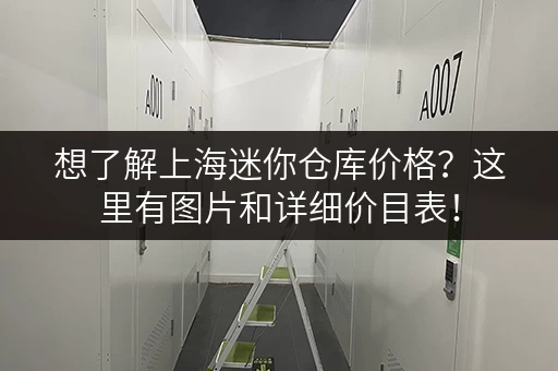 想了解上海迷你仓库价格？这里有图片和详细价目表！