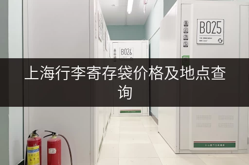 上海行李寄存袋价格及地点查询，玩转魔都更轻松！
