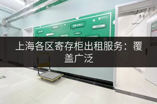 上海各区寄存柜出租服务：覆盖广泛，位置优越，满足您的各种需求