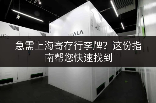 急需上海寄存行李牌？这份指南帮您快速找到