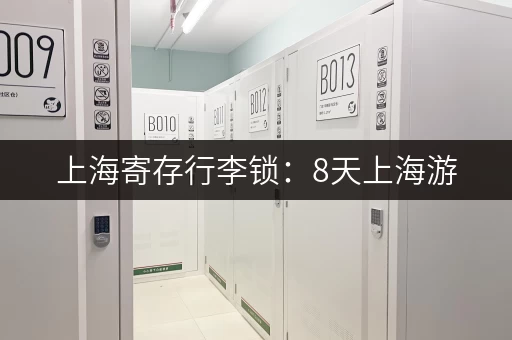 上海寄存行李锁：8天上海游，行李寄存经验分享