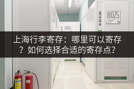 上海行李寄存：哪里可以寄存？如何选择合适的寄存点？