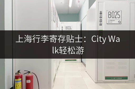 上海行李寄存贴士：City Walk轻松游，行李寄存好去处