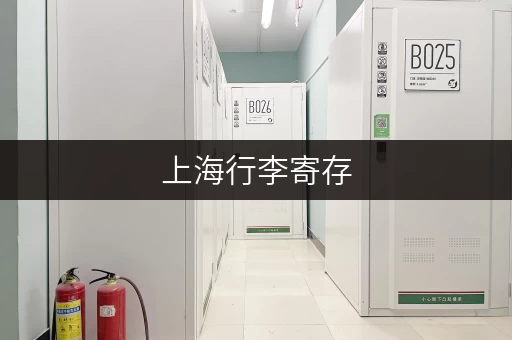 上海行李寄存，哪里方便又便宜？这份攻略告诉你！
