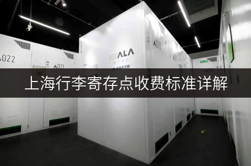 上海行李寄存点收费标准详解，便宜又方便的攻略