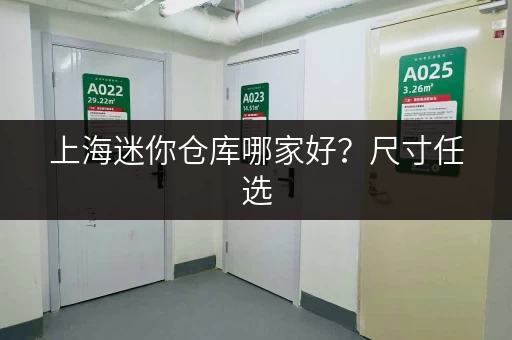 上海迷你仓库哪家好？尺寸任选，方便快捷