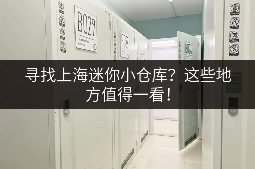 寻找上海迷你小仓库？这些地方值得一看！