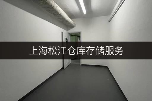 上海松江仓库存储服务，安全可靠，省心之选！