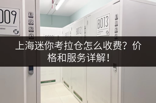 上海迷你考拉仓怎么收费？价格和服务详解！