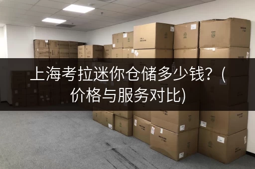 上海考拉迷你仓储多少钱？(价格与服务对比)