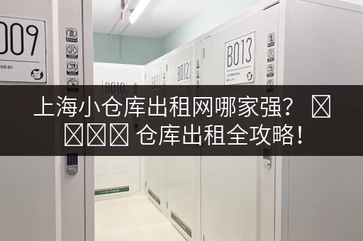上海小仓库出租网哪家强？ মিনি 仓库出租全攻略！