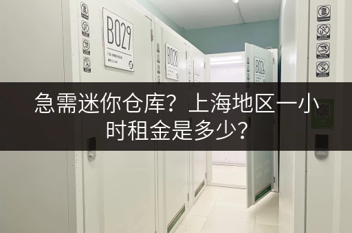急需迷你仓库？上海地区一小时租金是多少？
