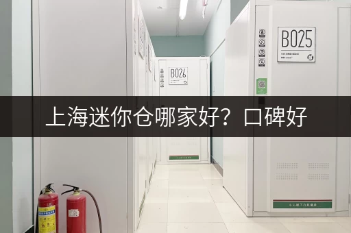 上海迷你仓哪家好？口碑好，服务优，安全有保障的迷你仓推荐