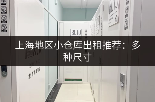 上海地区小仓库出租推荐：多种尺寸，灵活租赁，性价比高