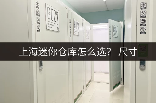 上海迷你仓库怎么选？ 尺寸，位置，安全性对比！