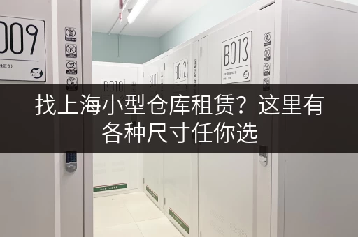 找上海小型仓库租赁？这里有各种尺寸任你选