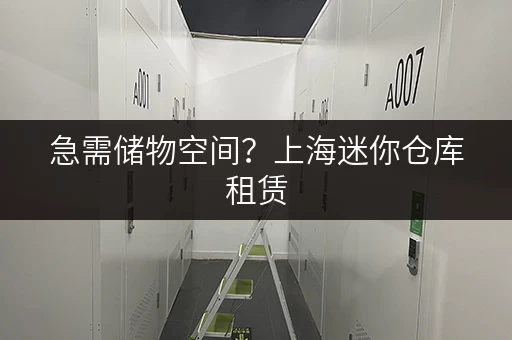 急需储物空间？上海迷你仓库租赁，帮你轻松解决！