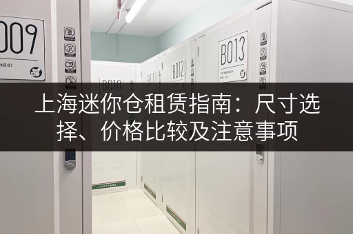 上海迷你仓租赁指南：尺寸选择、价格比较及注意事项