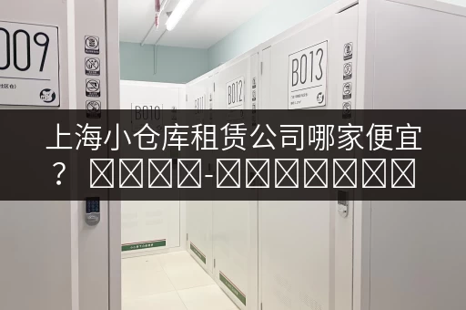 上海小仓库租赁公司哪家便宜？ মিনি-স্টোরেজের জন্য টিপস!