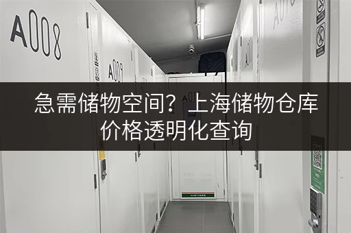 急需储物空间？上海储物仓库价格透明化查询