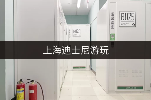 上海迪士尼游玩，箱子可以寄存吗？有哪些寄存点？