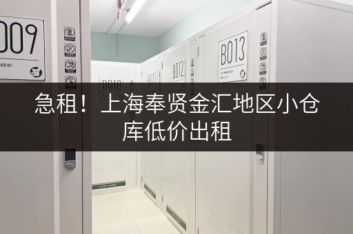 急租！上海奉贤金汇地区小仓库低价出租