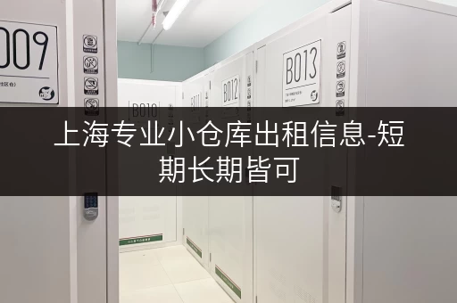 上海专业小仓库出租信息-短期长期皆可，方便快捷