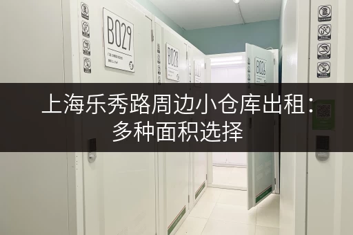 上海乐秀路周边小仓库出租：多种面积选择，满足您的需求