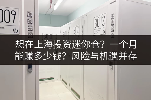 想在上海投资迷你仓？一个月能赚多少钱？风险与机遇并存
