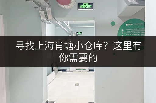 寻找上海肖塘小仓库？这里有你需要的
