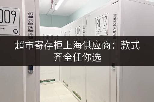 超市寄存柜上海供应商：款式齐全任你选