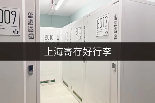 上海寄存好行李，轻松游览不用担心行李太重