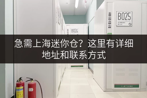 急需上海迷你仓？这里有详细地址和联系方式