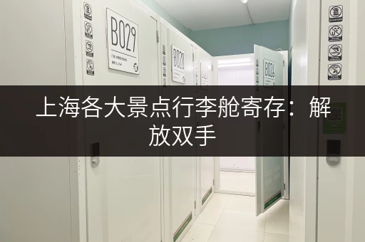 上海各大景点行李舱寄存：解放双手，畅享魔都之旅！
