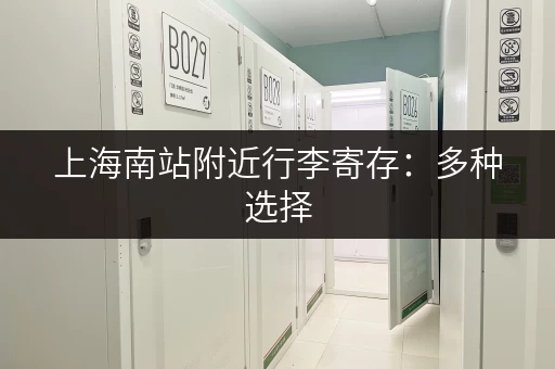 上海南站附近行李寄存：多种选择，总有一款适合你