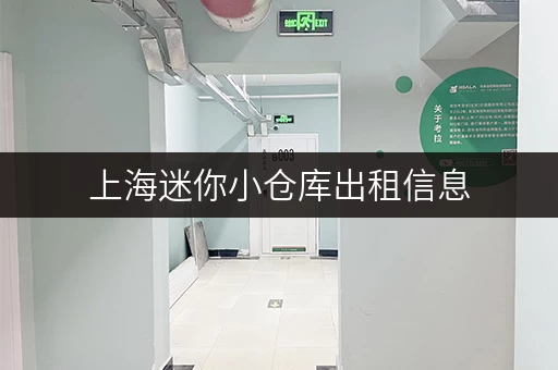 上海迷你小仓库出租信息，安全可靠值得信赖