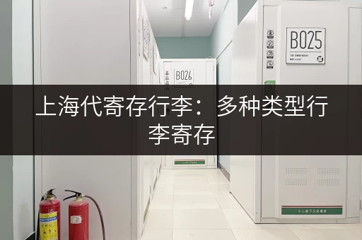 上海代寄存行李：多种类型行李寄存，安全有保障