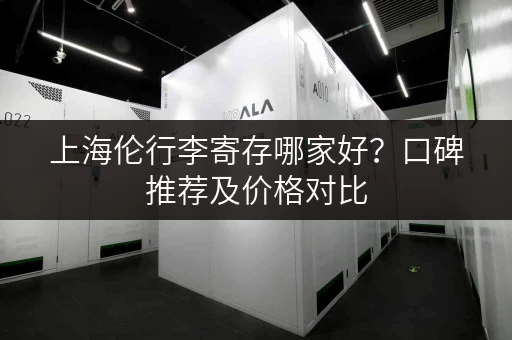 上海伦行李寄存哪家好？口碑推荐及价格对比