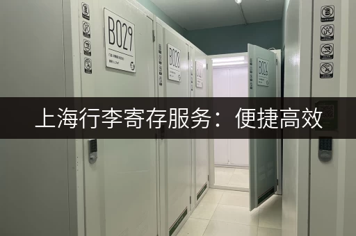 上海行李寄存服务：便捷高效，轻装游览魔都