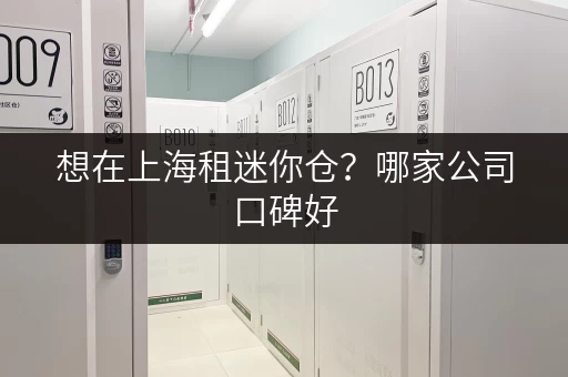 想在上海租迷你仓？哪家公司口碑好，值得信赖？