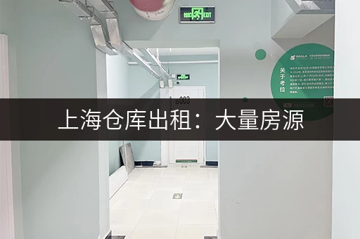 上海仓库出租：大量房源，满足您的需求！