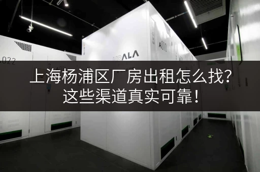 上海杨浦区厂房出租怎么找？这些渠道真实可靠！