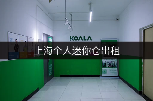 上海个人迷你仓出租，短期长期租赁价格指南！