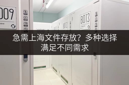 急需上海文件存放？多种选择满足不同需求