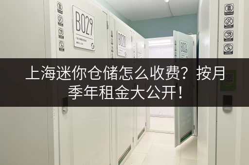 上海迷你仓储怎么收费？按月季年租金大公开！