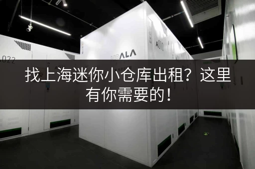 找上海迷你小仓库出租？这里有你需要的！