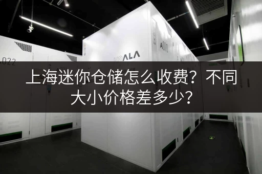 上海迷你仓储怎么收费？不同大小价格差多少？