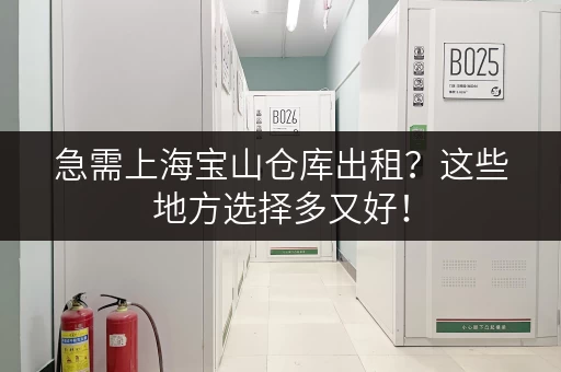 急需上海宝山仓库出租？这些地方选择多又好！