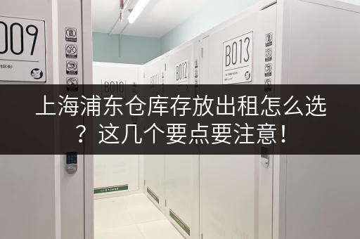 上海浦东仓库存放出租怎么选？这几个要点要注意！